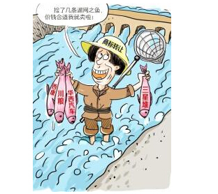 广州品牌保护